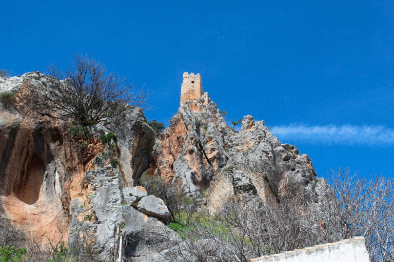 Los olivares de montaña Vs Cultivos extensivos (Campiña)